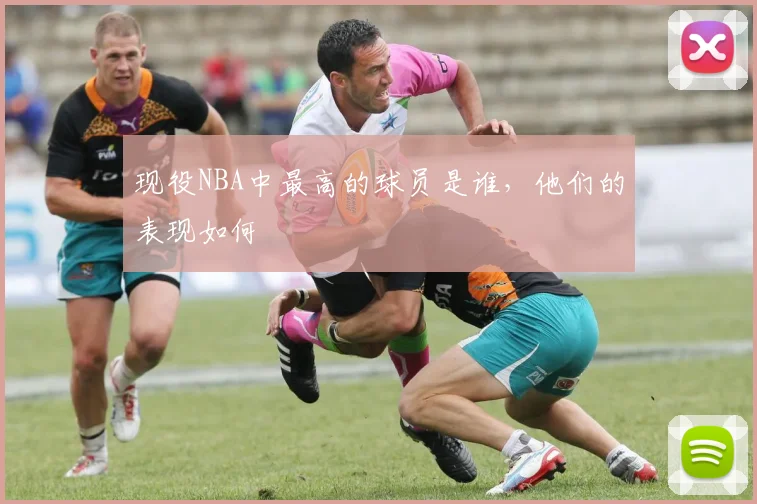 现役NBA中最高的球员是谁，他们的表现如何