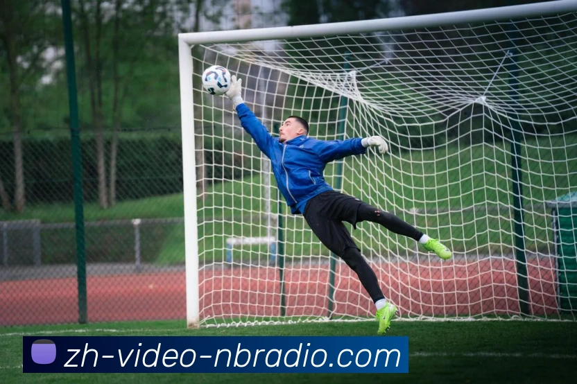 多媒体互动体验